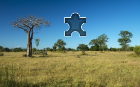 Videos con el hashtag #dulcemoon en TikTok